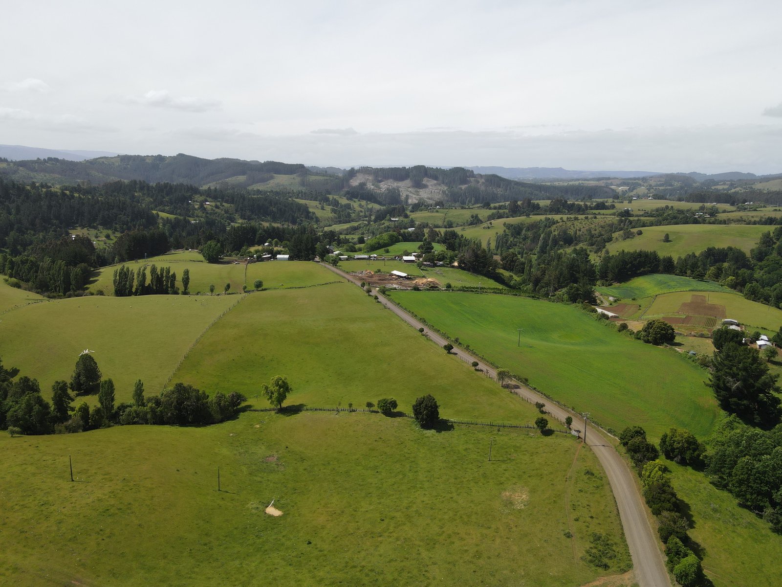 Entorno natural y bosques de Altos de Osorno
