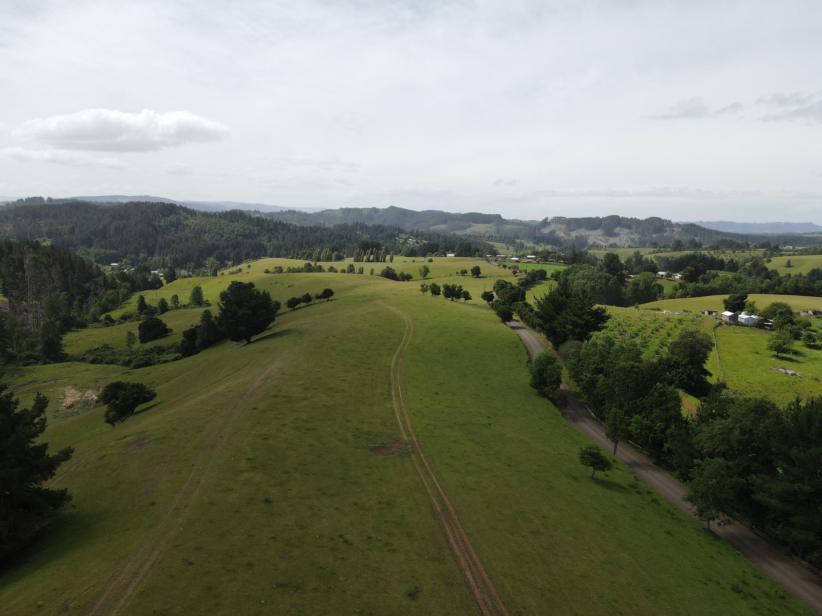 Paisaje de la Cordillera de la Costa en Los Lagos
