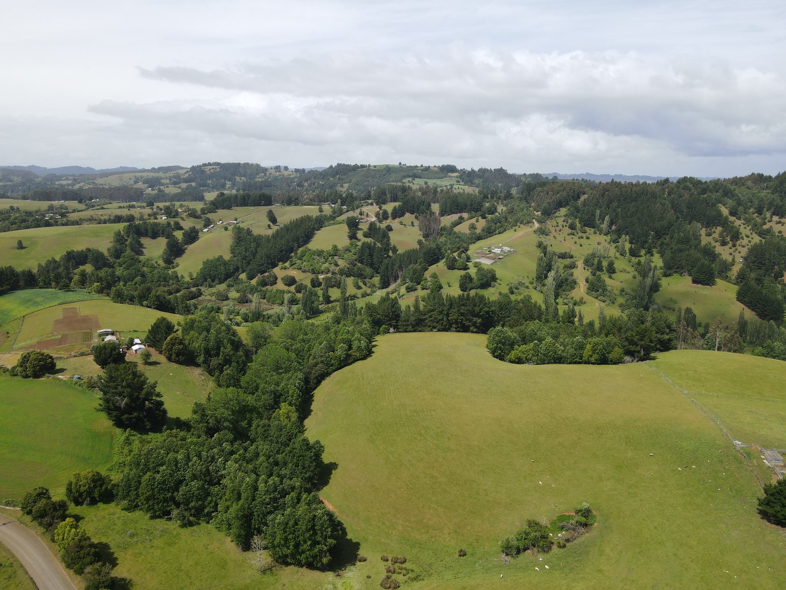 Naturaleza y montañas